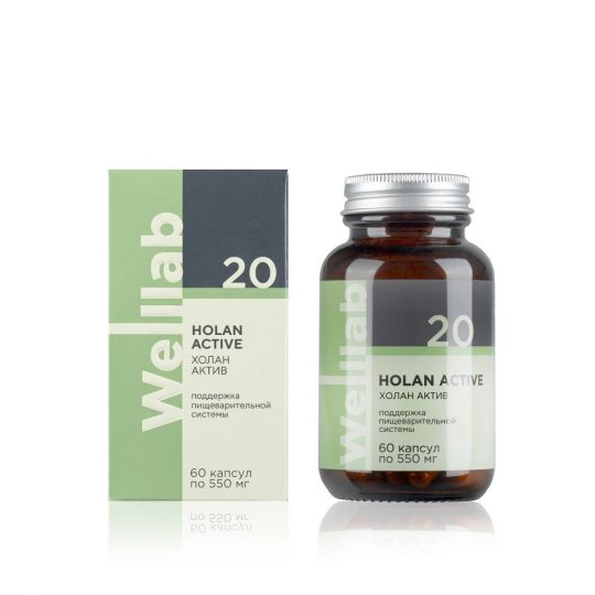 БАД для желчевыделительной системы Welllab HOLAN PHYTO ACTIVE, 60 капсул